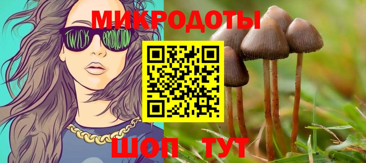 Псилоцибиновые грибы GOLDEN TEACHER Оренбург